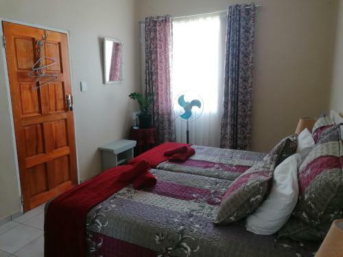 Hostal Why Not Guesthouse