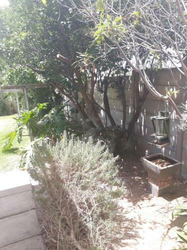 Hostal Lavender Avenue Guest Room