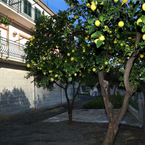 Apartamento La Perla