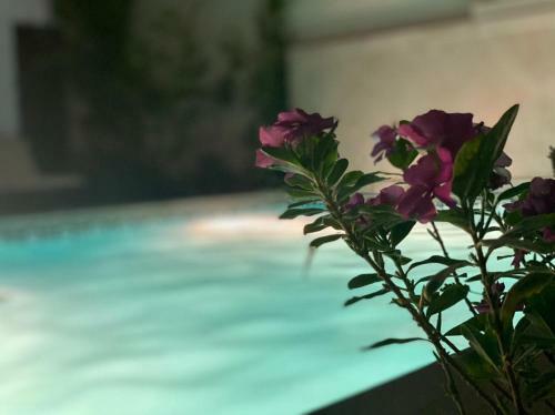 Hostal Dar Misk La Marsa