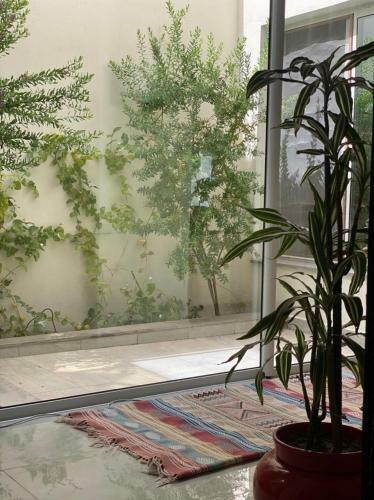 Hostal Dar Misk La Marsa
