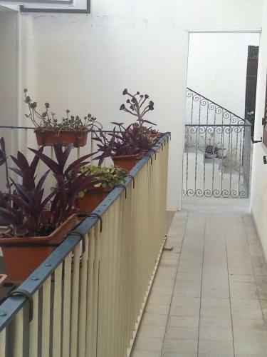 Renda Apartments