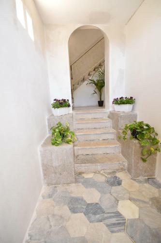 Apartamento Angelica E Orlando