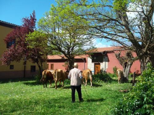 Hostal Molinos De Antero
