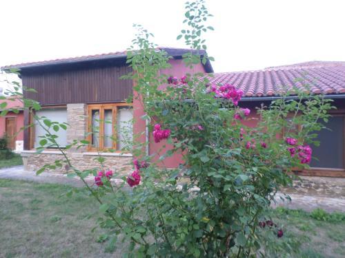 Hostal Molinos De Antero