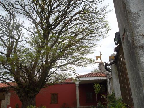 Hostal Molinos De Antero