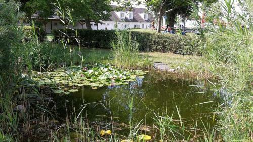 Hotel Familieng�stehaus Seebad Rust