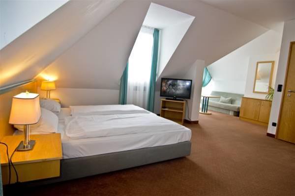 Hostal Hotel Alpha