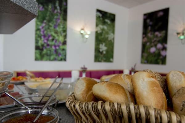Hostal Hotel Alpha
