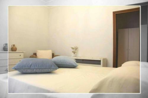 Hostal Movida Rooms