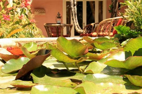 Apartamento Antica Corte Delle Ninfee, Historical Private Villa