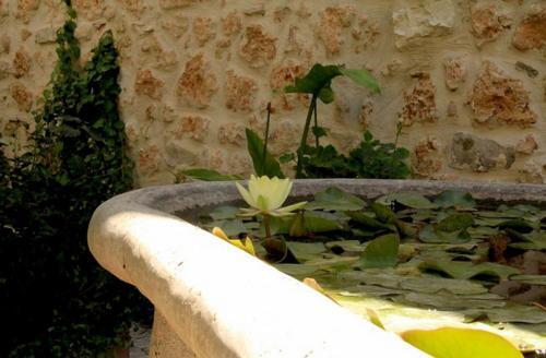 Apartamento Antica Corte Delle Ninfee, Historical Private Villa