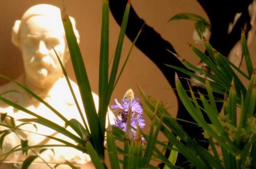 Apartamento Antica Corte Delle Ninfee, Historical Private Villa