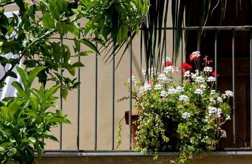 Apartamento Antica Corte Delle Ninfee, Historical Private Villa