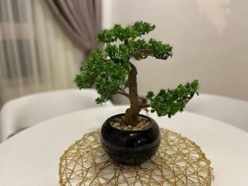 Yuloshelter Apartments