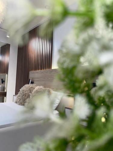 Apartamento Vanity Residential Villa