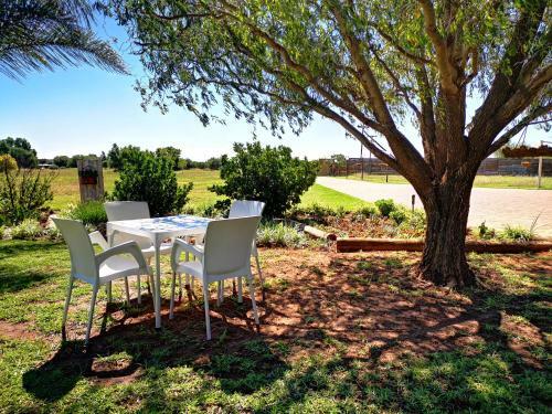 Apartamento Safe Haven Guesthouse Bloemfontein