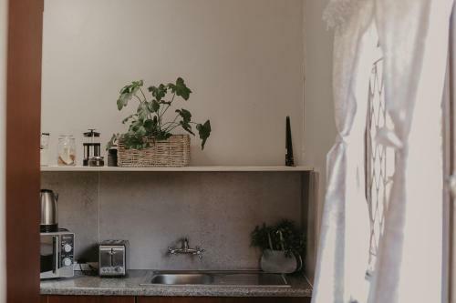 Hostal Villa Rose Guesthouse & Venue