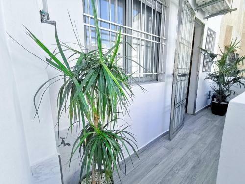 Apartamento Appartement de Luxe Au C?ur de Casablanca