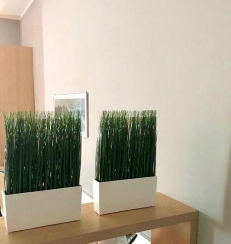 Apartamento Cristina Appart
