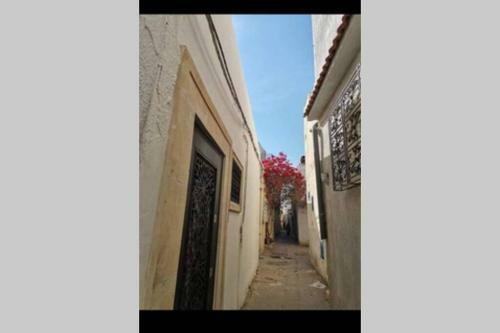 Apartamento Dar El Halfaouine