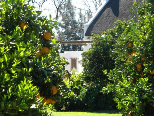 Agroturismo Klein Boschkloof Chalets