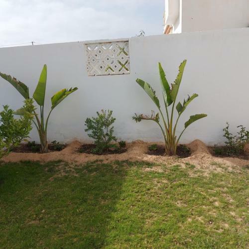 Villa Ayoub