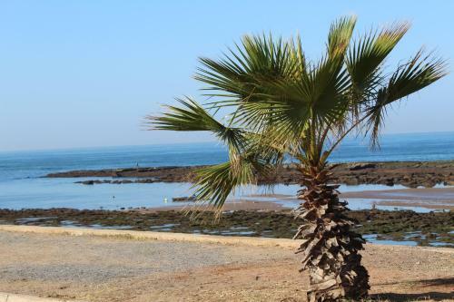 Villa Aux Moules De Harhoura Rabat