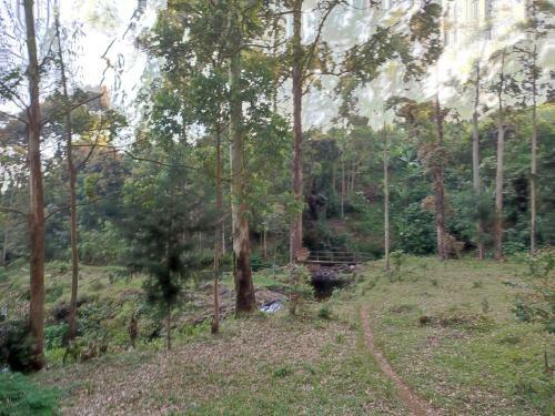 Mai Kilimanjaro Home Stay