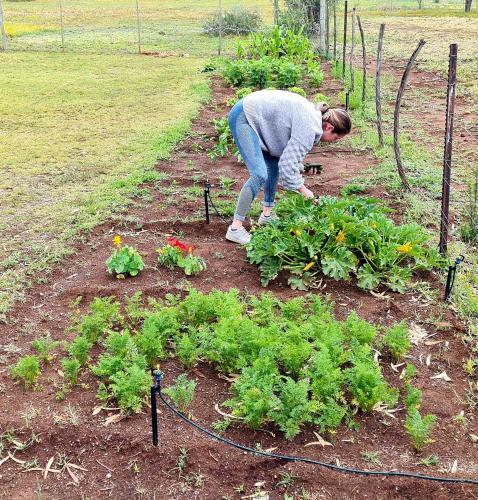 Hostal Little Farms