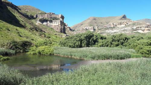 Hostal Honeysuckle Clarens