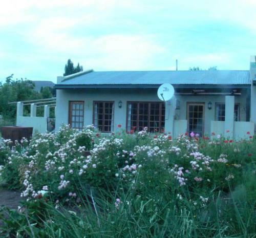 Bed & Breakfast Aspen Guest House