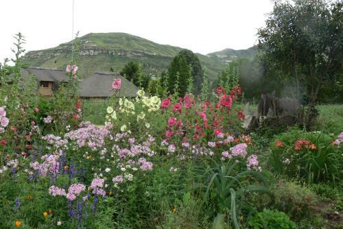 Bed & Breakfast Aspen Guest House