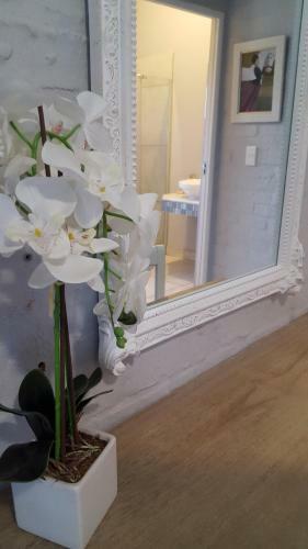 Apartamento Rochester