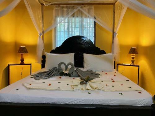 Bed & Breakfast Dreams Of Mapacha