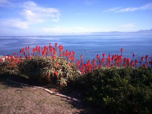 Apartamento Whale Cove A103