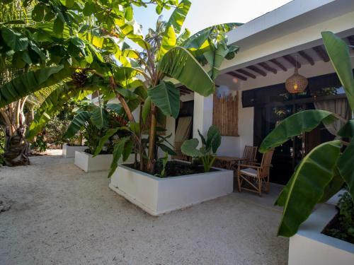 Tropical Oasis Boutique Hotel