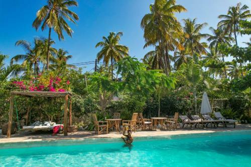 Tropical Oasis Boutique Hotel
