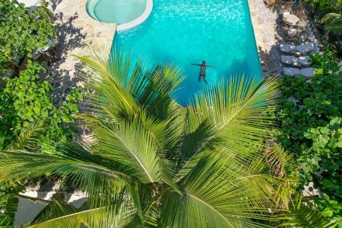 Tropical Oasis Boutique Hotel