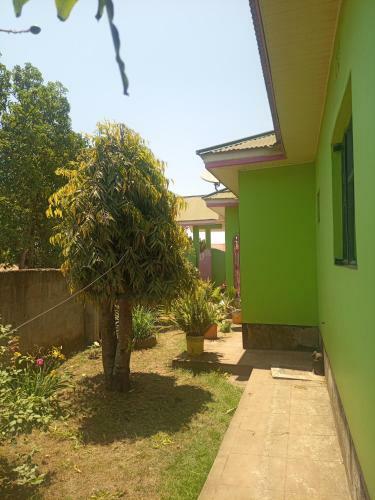 Kennedy Homestay