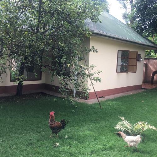 Apartamento 2 Bedroom Cottage In Moshi