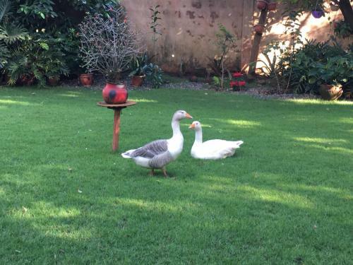 Apartamento 2 Bedroom Cottage In Moshi