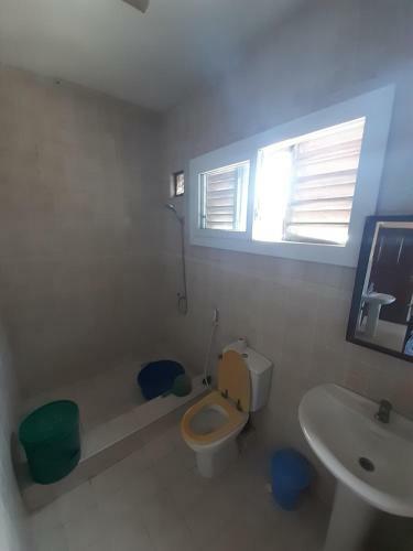 Market Apartment