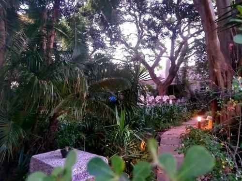 Hostal The Wild Fig