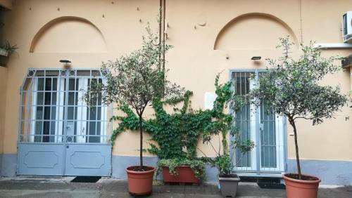 Apartamento 2 Lofts Guest House