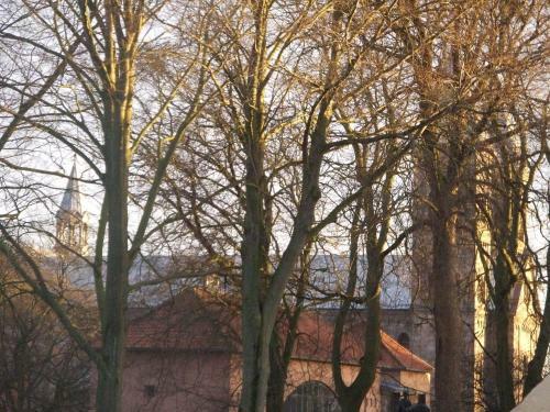 Hostal Guesthouse Sct. Mogens Gade 14