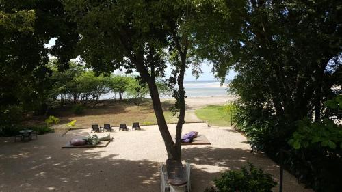 Hotel Los Mangos