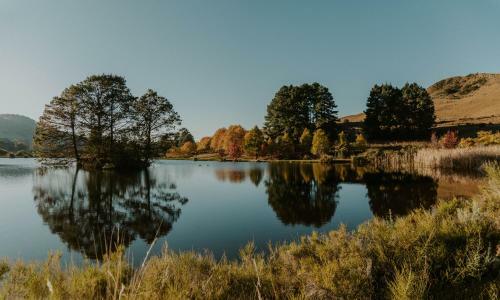 Walkersons Estate Sensiri Myst