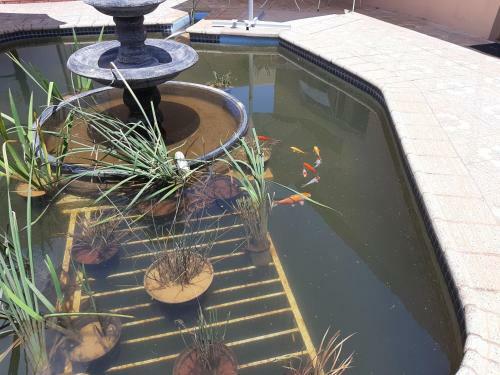 Bed & Breakfast Fochville Guesthouse