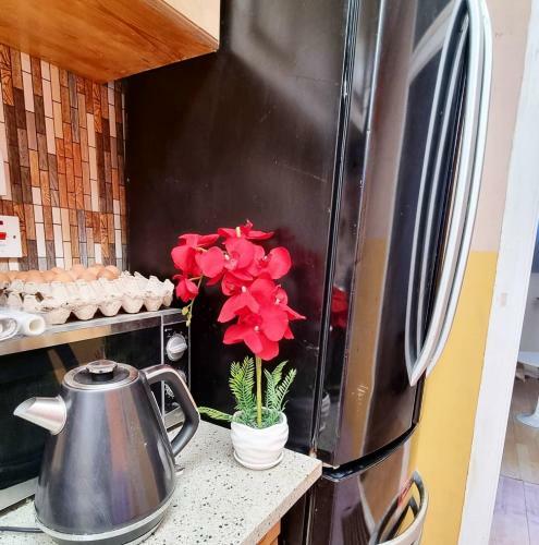 Hostal Havana At Victoria; A Home Away From Home.
